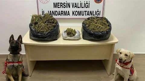 Jandarma; Uyuşturucu Madde Ticareti Yapanlara Göz Açtırmıyor