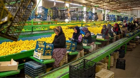 Seçer: "Üreticilerimize Destek, Vatandaşlarımıza Vitamin Oldu"