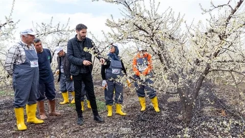 Doğru Tarımsal Üretim İçin Teorik ve Uygulamalı Eğitim
