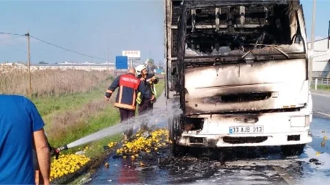 Limon Yüklü Kamyonda Yangın Çıktı
