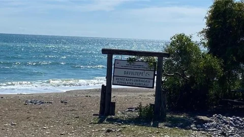 Mersin Barosu, 100.Yıl Tabiat Parkı’ndaki Doğa Katliamını Yargıya Taşıdı