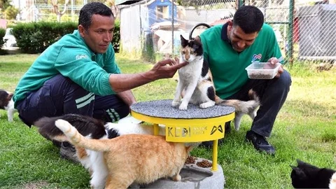 Mersin Büyükşehir, ‘her Canlının Belediyesi’ Olmaya Devam Ediyor
