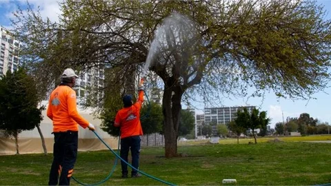 Büyükşehir’in İlaçlama Ekibi Kenti Yaz Aylarına Hazırlıyor