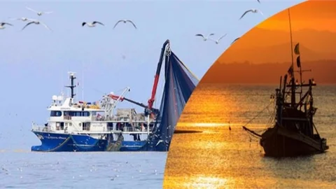 Denizlerde Av Yasağı 15 Nisan'da Başlıyor