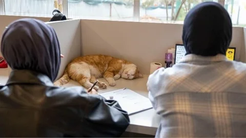 Mersin Büyükşehir’in Hizmetleri İle Gençler Geleceğe Güvenle Bakıyor