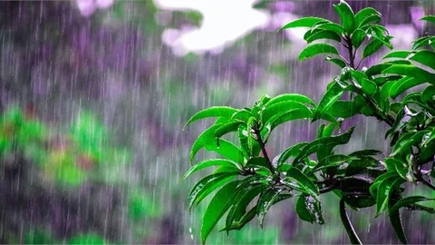 Mersin'e Yağış Uyarısı