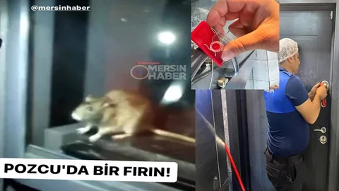 Fareli Fırın Mühürlendi