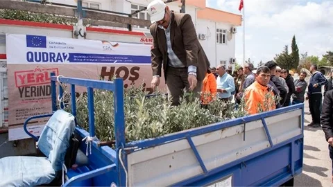 Zeytin Fidanları Toprakla Buluşacak, Üretici de Ekonomi de Kalkınacak