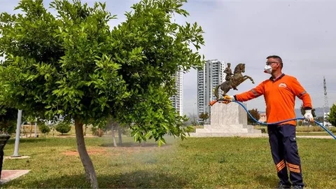 Mersin Büyükşehir, Sıcakla Birlikte İlaçlama Çalışmalarını da Artırdı