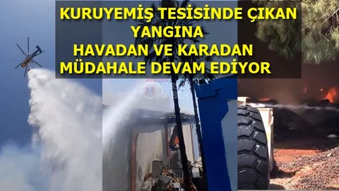 Kuruyemiş Tesisinde Yangın Devam Ediyor, Havadan Müdahale Başladı
