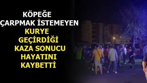 Köpeğe Çarpmak İstemedi, Canından Oldu