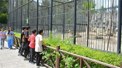 Mersin Büyükşehir Kurs Merkezlerindeki Öğrencilere LGS Öncesi Moral