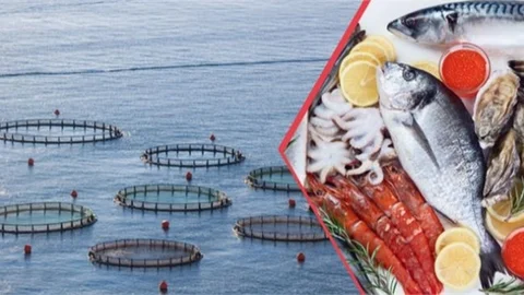 Su Ürünlerinde Yeni Üretim Rekoru