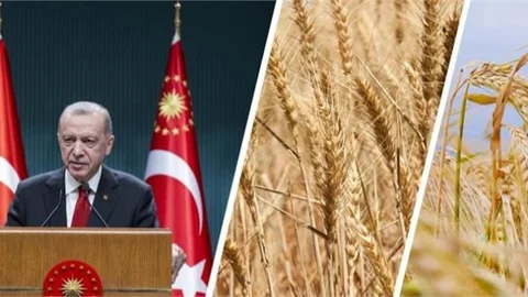 2023 Dönemi Hububat Alım Fiyatları Belli Oldu