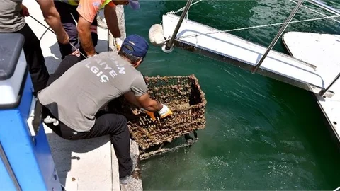 Denizden Çıkarılan Atıklarla Kirliliğe Dikkat Çekildi