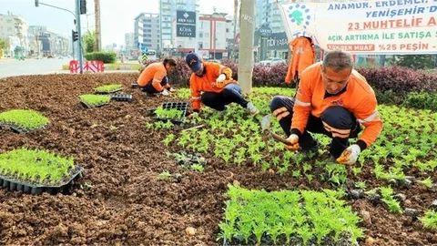 Mersin Büyükşehir Yaz Mevsimini RengÂrenk Çiçeklerle Karşılıyor