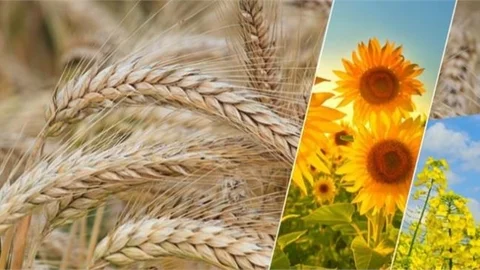 124 Milyon 17 Bin Liralık Destekleme Ödemesi Bugün Hesaplara Aktarılacak