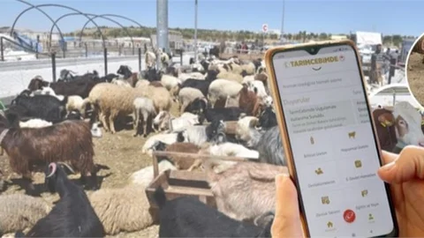 Kurbanlık Hayvanlar İçin "Tarımcebimde" Devrede
