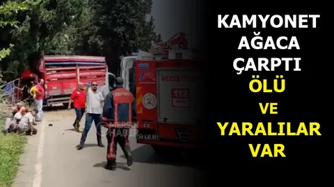 Kamyonet Ağaca Çarptı; 1 Ölü 3 Yaralı
