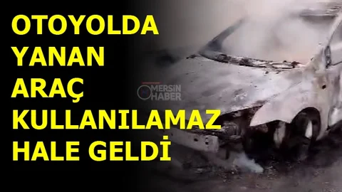 Otoyolda Araç Yangını