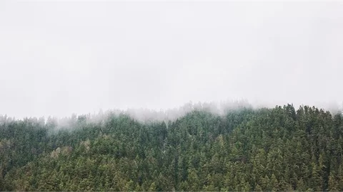 Girişler 1 Temmuz İtibariyle Yasaklandı