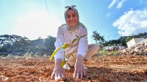 Mersin Büyükşehir Üreticiye Alternatif Tarım Ürünleri Sunuyor