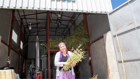 Silifkeli Üreticiler Büyükşehir’le Hasat Sevinci Yaşadı