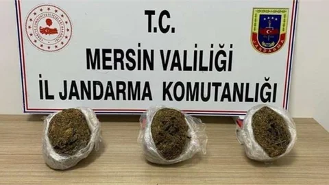 Jandarmadan Uyuşturucu Madde Operasyonu