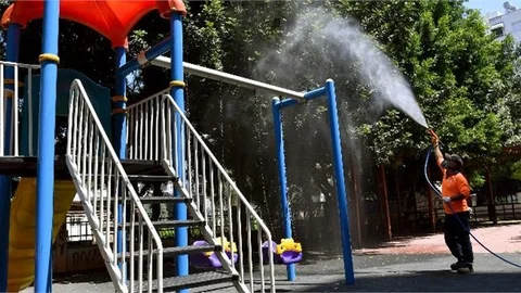 Mersin Büyükşehir Haşere İle Mücadeleyi Sürdürüyor