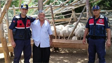 Hayvan Hırsızları Jandarmadan Kaçamadı