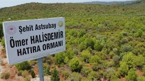 Tarım ve Orman Bakanlığı, 15 Temmuz Şehitlerinin Anısını Yeşil Vatan'da Yaşatıyor