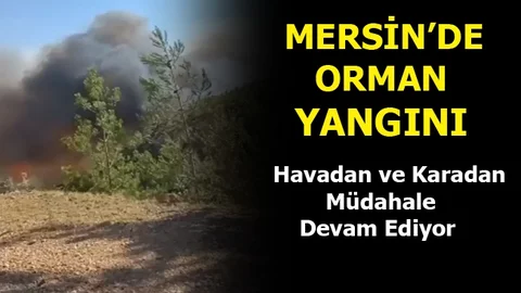 Mersin'de Orman Yangını