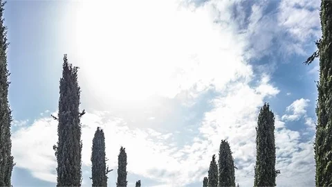 Hava Sıcaklıkları Tüm Yurtta Mevsim Normalleri Üzerinde Seyredecek!