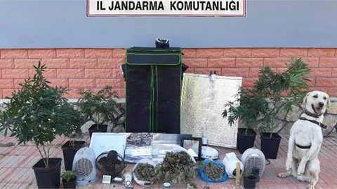 Evinde Uyuşturucu İmal Eden Şüpheliye Jandarma Operasyonu