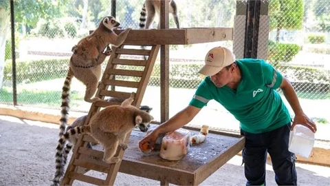 Tarsus Doğa Parkı Sakinlerine Fıskiyeli ve Buzlu Meyveli Serinlik