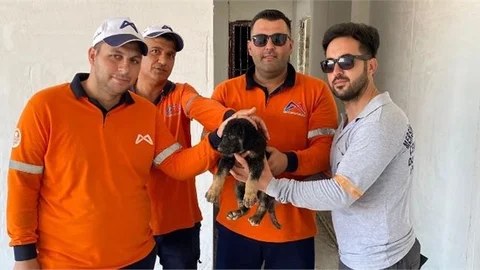 Büyükşehir Ekipleri, Asansör Kuyusuna Düşen ve Gözleri Görmeyen Yavru Köpeği Kurtardı