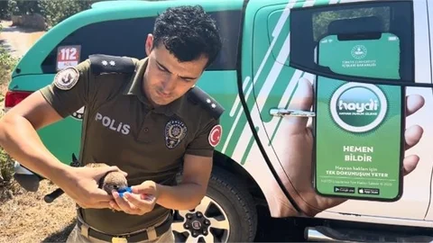 Ölmek Üzere Olan ‘‘kerkenez Kuşunu’’ Mersin Polisi Hayata Döndürdü