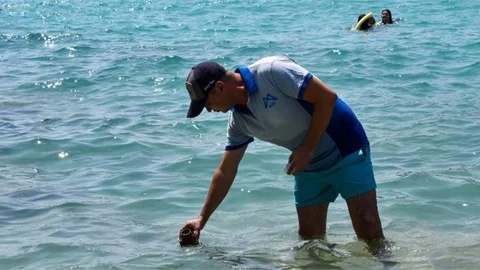 MESKİ, Sahillerden Deniz Suyu Numuneleri Almaya Devam Ediyor