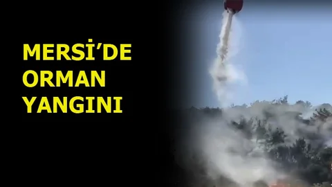 Mersin'de Orman Yangını