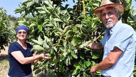 Mersin Büyükşehir, Üreticilere Alternatif Gelir Kapıları Açmaya Devam Ediyor