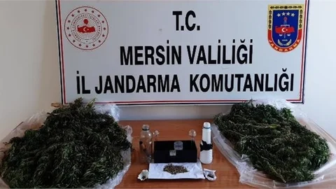 Yasa Dışı Kenevir Ekimi Yapan Şahıslar Yakalandı