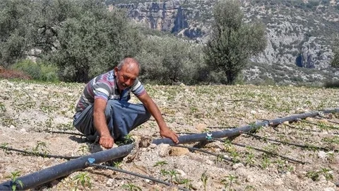 Mersin Büyükşehir Hem Üreticilere Hem Toprağa Bereket Veriyor