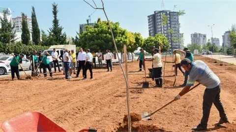 Yenişehir Belediyesi Yeşil Alan Sayısını Arttırıyor