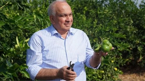 Türkiye’nin Limon Deposunda Hasat Başladı