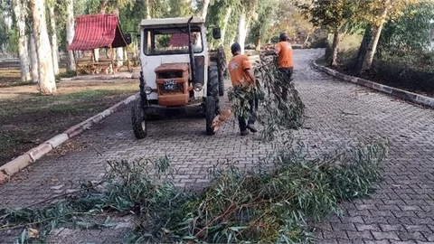 Tarsus'ta Fırtına Nedeniyle Oluşan Olumsuzluklara Büyükşehir Ekipleri Müdahale Etti