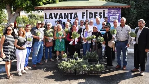 Büyükşehir, Silifkeli Üreticilere Lavanta Fidesi Dağıttı