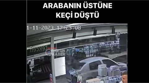 Mersin'de Bir Binanın Üçüncü Katından Atlayan Keçi Arabanın Üzerine Düştü