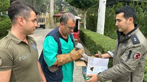 Haydi Ekiplerimiz, Uçan Kuşa Güven Veriyor