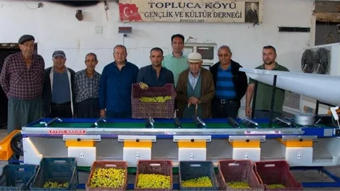 Zeytin Üreticilerinin Yüzü Büyükşehir İle Gülüyor!