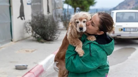 Mersin Büyükşehir Barınağındaki Canlar Güvende